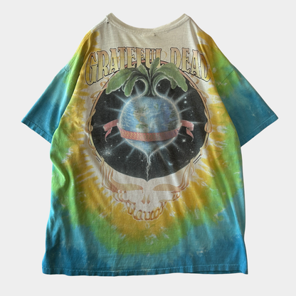90's Grateful Dead グレイトフル・デッド KEEP IT GREEN タイダイTシャツ anvil (XL)/A6513T-SO