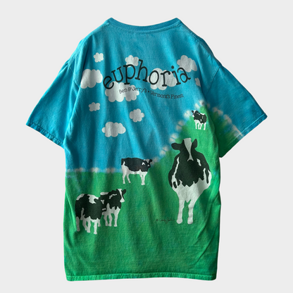 00's GILDAN BEN&JERRY'S アイスクリーム 企業Tシャツ 青緑 (M)/B2028T-SO