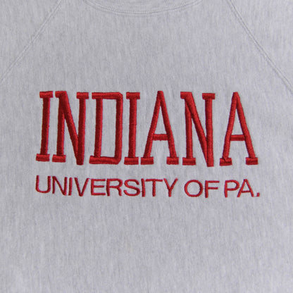 90's リバースウィーブ INDIANA UNIVERSITY OF PA (XL)/A2637R-SO