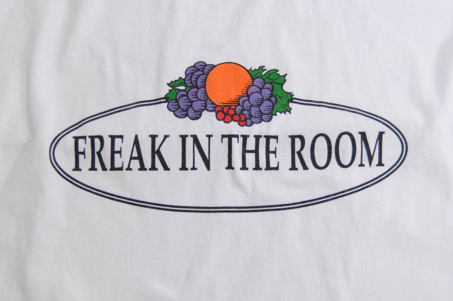 90's "FREAK IN THE ROOM" Tシャツ (XL)/A3964T-O