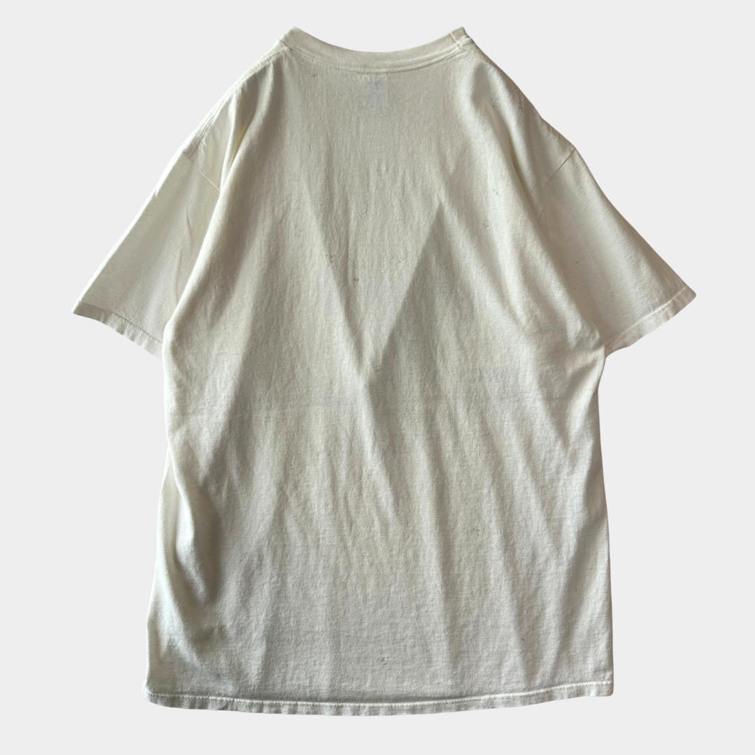 90's APLIS(応用物理学研究所氷上観測ステーション) Tシャツ Jerzees(L)/C0805T-SO