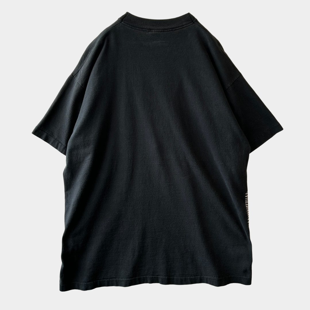 90's Albert Einstein アインシュタイン 肖像画Tシャツ ブラック (XL)/C1221T-SO
