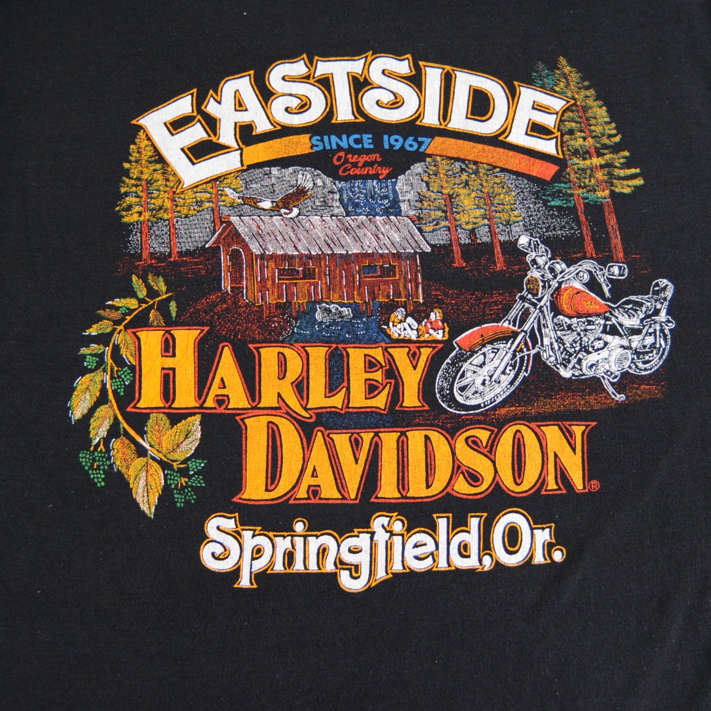 80's HARLEY-DAVIDSON Tシャツ 黒 (XL)/A4080T-SO