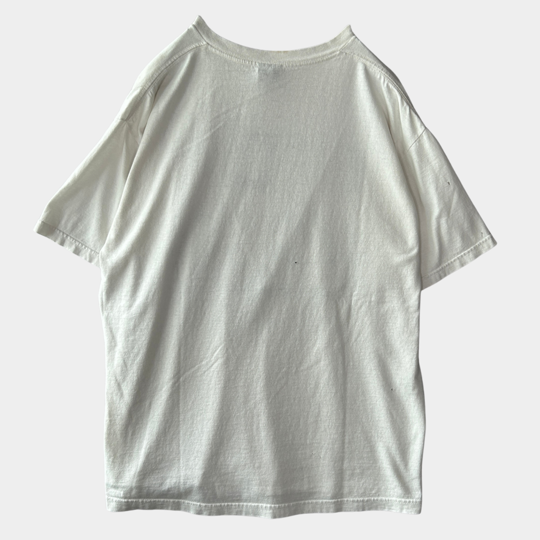 00's Stussy ステューシー World tribe Rags to Riches SSリンクTシャツ 白 (L)/B2085T-SO