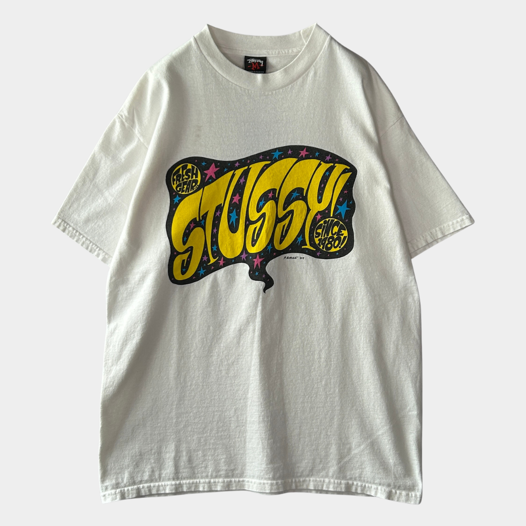 00's Stussy ステューシー × Peter Bagge コラボTシャツ 白 (M)/B2335T-SO