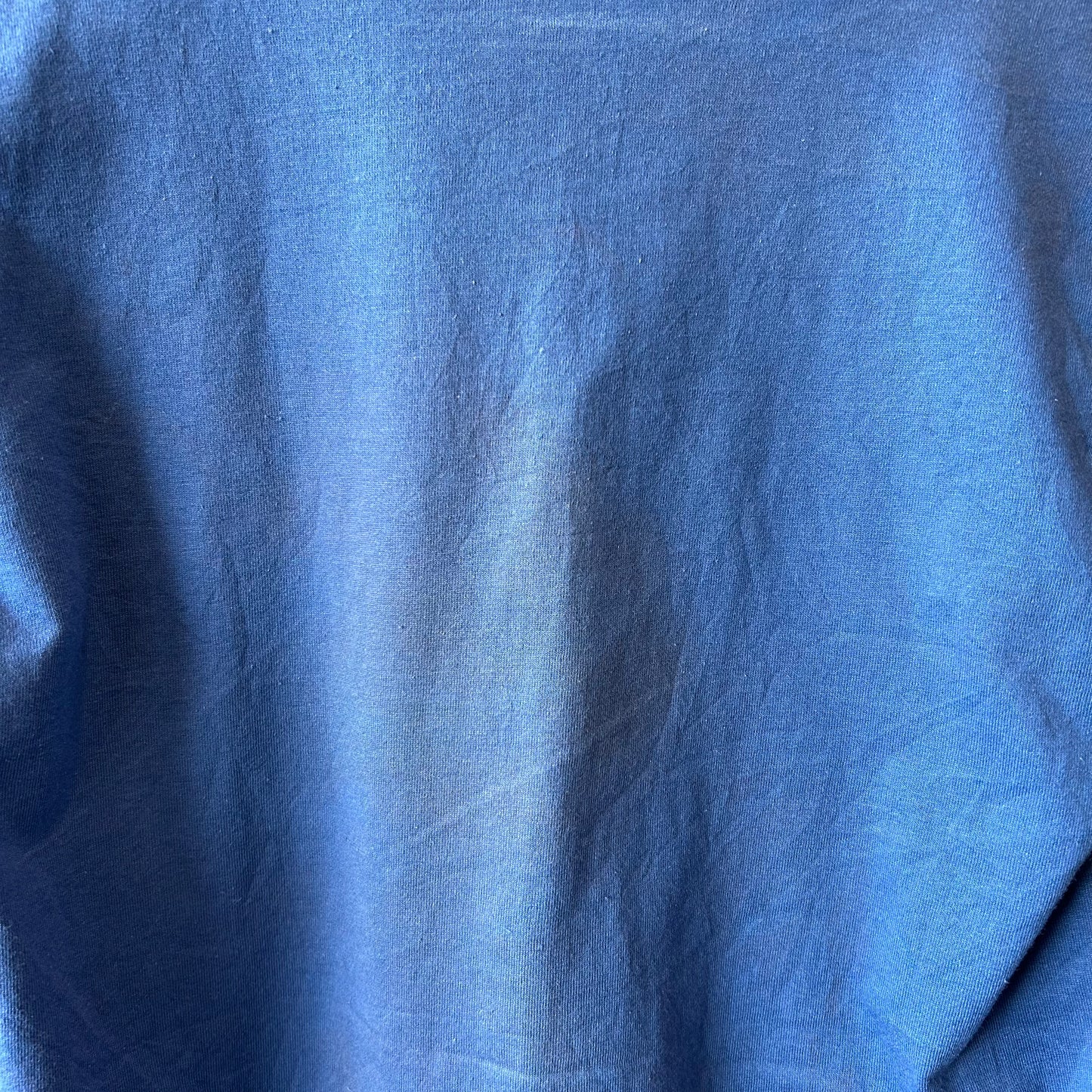 80's Velva Sheen FLORIDA ミッキーTシャツ 青(M)/B2192T-SO