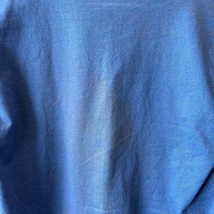80's Velva Sheen FLORIDA ミッキーTシャツ 青(M)/B2192T-SO