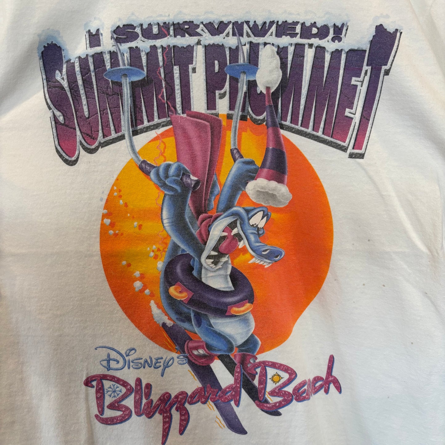 90's Disney Blizzard Beach Summit Plummet 両面プリント tシャツ/B2618T