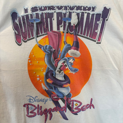 90's Disney Blizzard Beach Summit Plummet 両面プリント tシャツ/B2618T