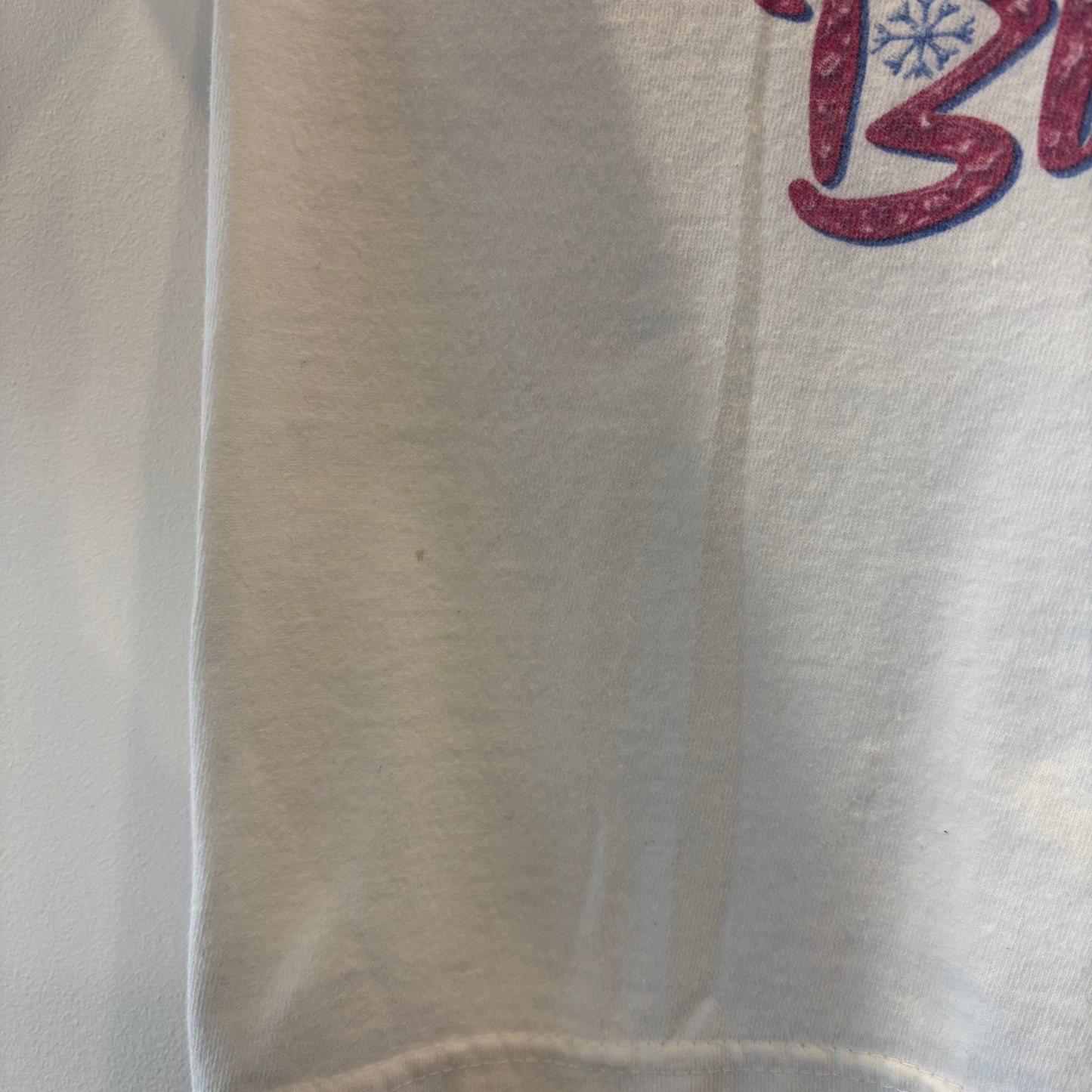 90's Disney Blizzard Beach Summit Plummet 両面プリント tシャツ/B2618T