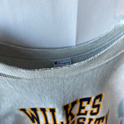 90's Champion Reverse Weave リバースウィーブ WILKEN UNIVERSITY グレー(XL)/A6020R-SO