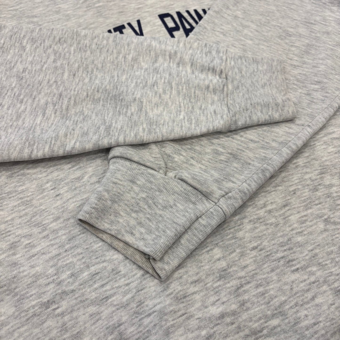 90's Champion チャンピオン TRINITY PAWLING カレッジスウェット グレー (L) /B3463S-SO