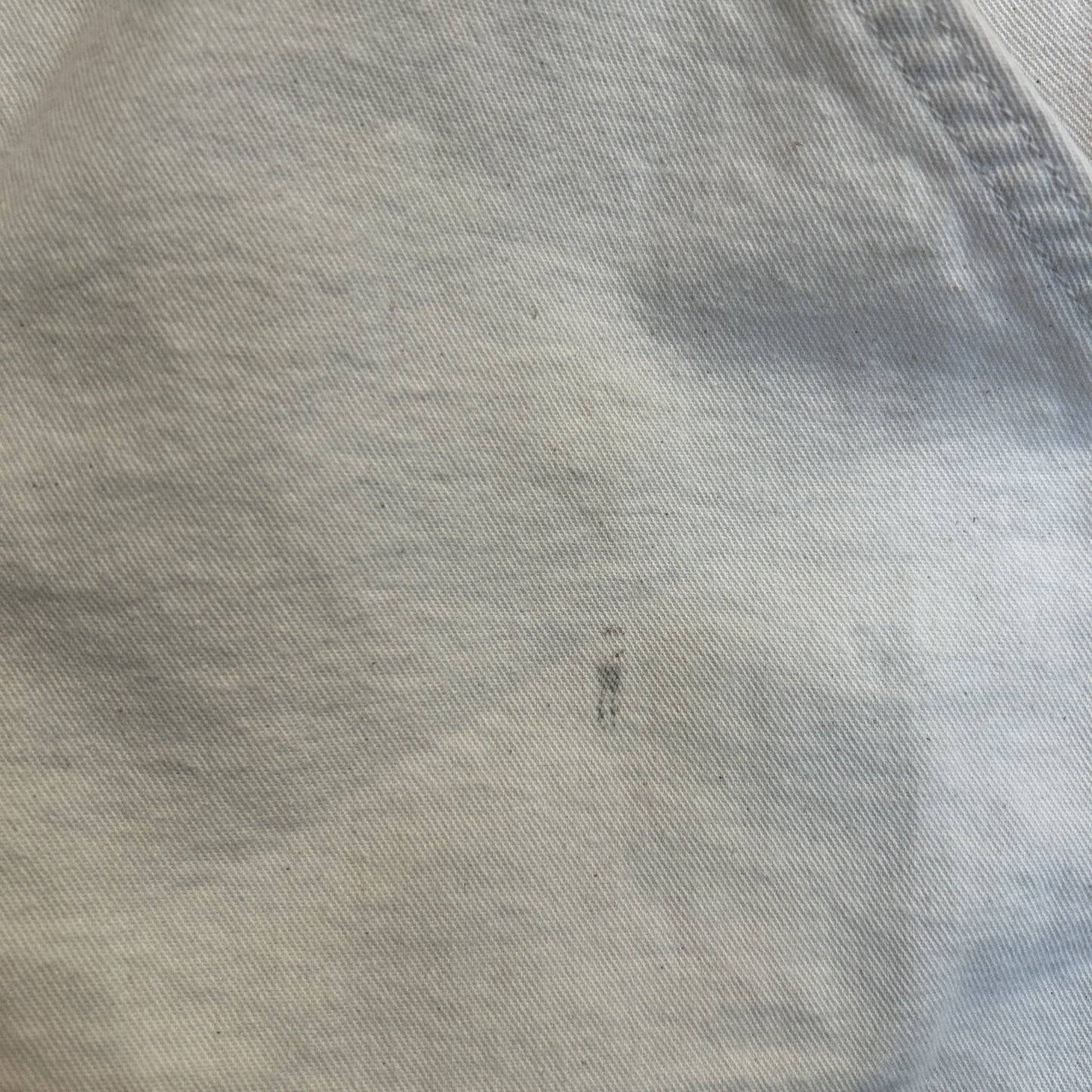 00's Carhartt カーハート ペインターショートパンツ B36 NAT (w38)/B3674P-SO