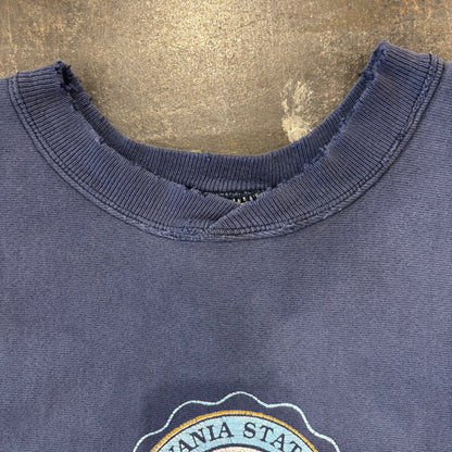 90's  Hanes  リバースウィーブタイプ PENN STATE  カレッジ スウェット ネイビー L /B2353R-SO