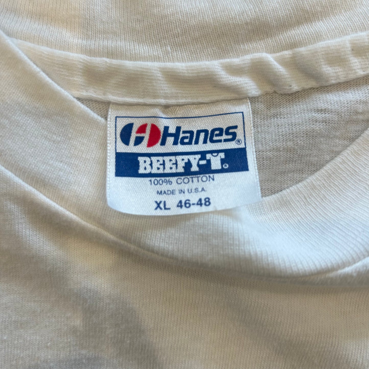 90's Hanes The Earth アートTシャツ 白(XL)/B2111T-SO