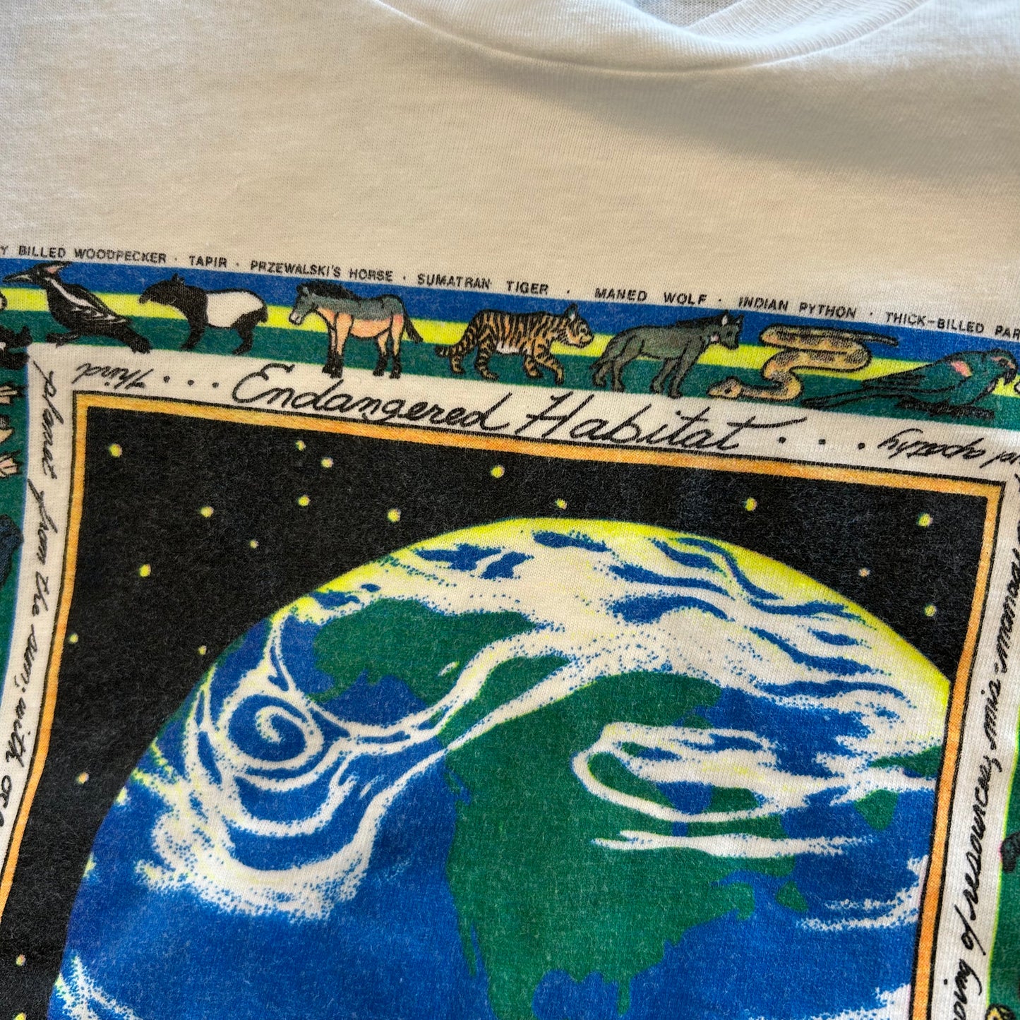 90's Hanes The Earth アートTシャツ 白(XL)/B2111T-SO