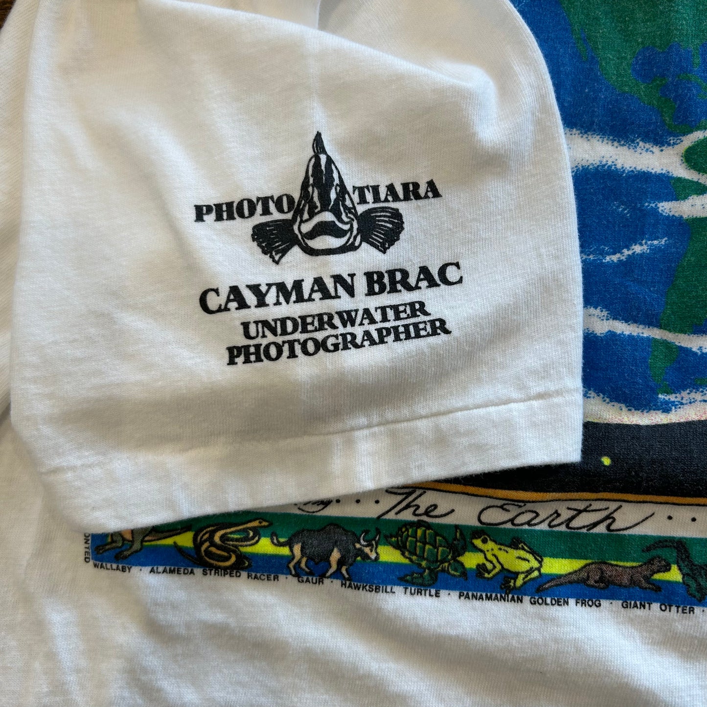 90's Hanes The Earth アートTシャツ 白(XL)/B2111T-SO