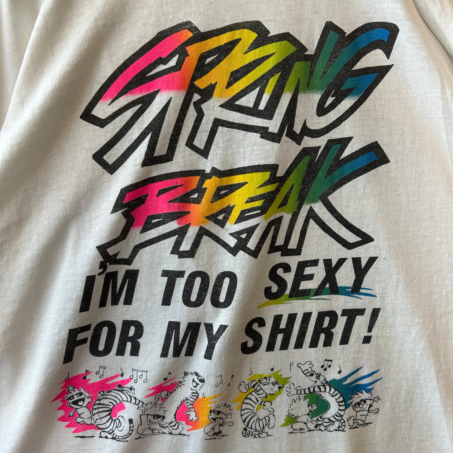 90's MTV Spring Break 1992 Tシャツ ミュージックT 白 Screen Stars (XL)/C0927T-SO