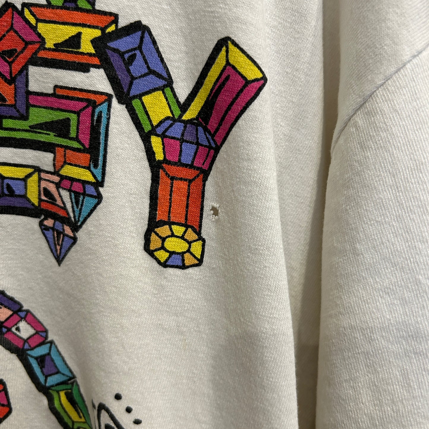 00's Stussy ステューシー World tribe Rags to Riches SSリンクTシャツ 白 (L)/B2085T-SO