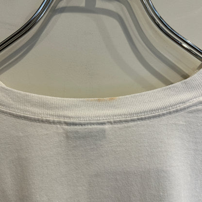 00's Stussy ステューシー World tribe Rags to Riches SSリンクTシャツ 白 (L)/B2085T-SO