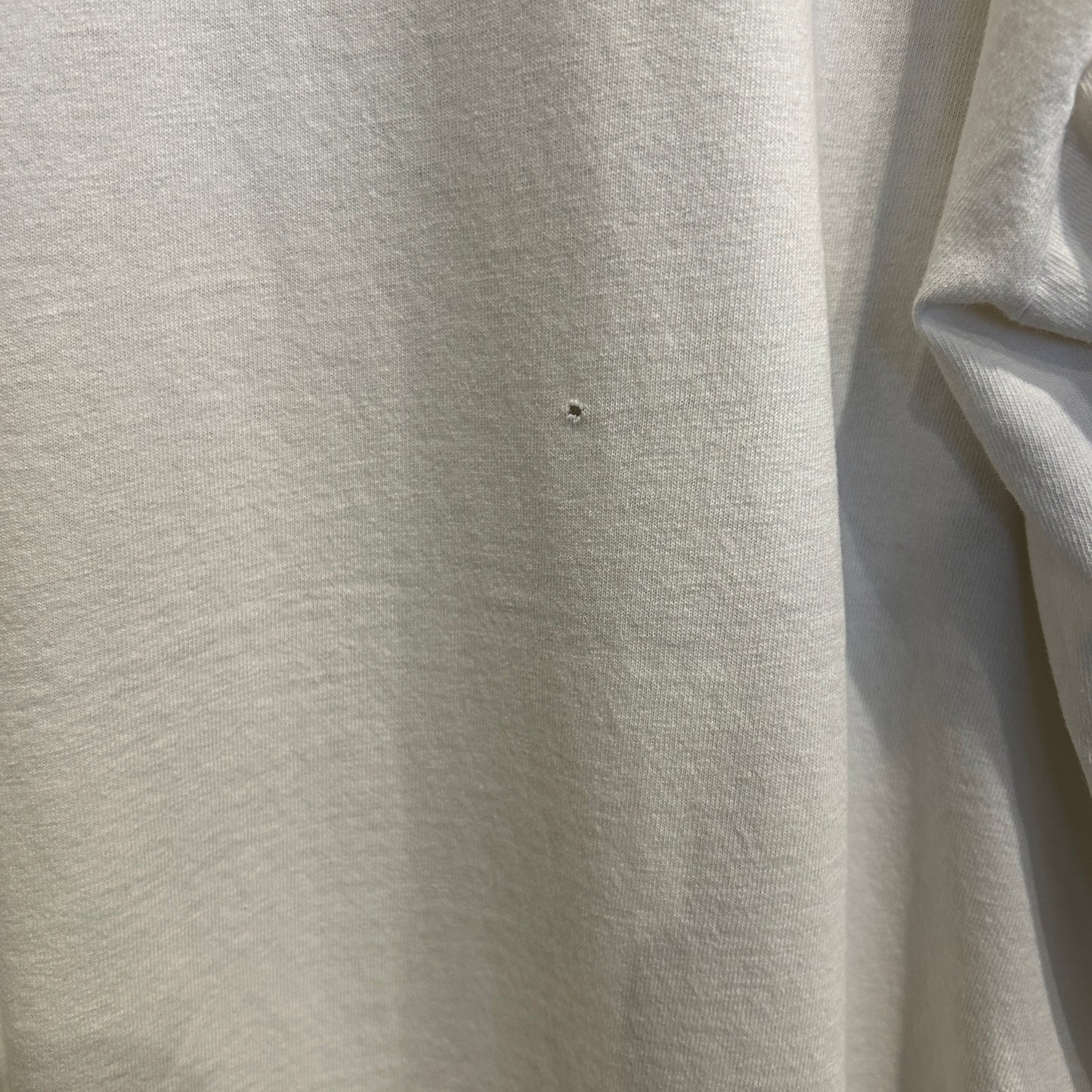 00's Stussy ステューシー World tribe Rags to Riches SSリンクTシャツ 白 (L)/B2085T-SO