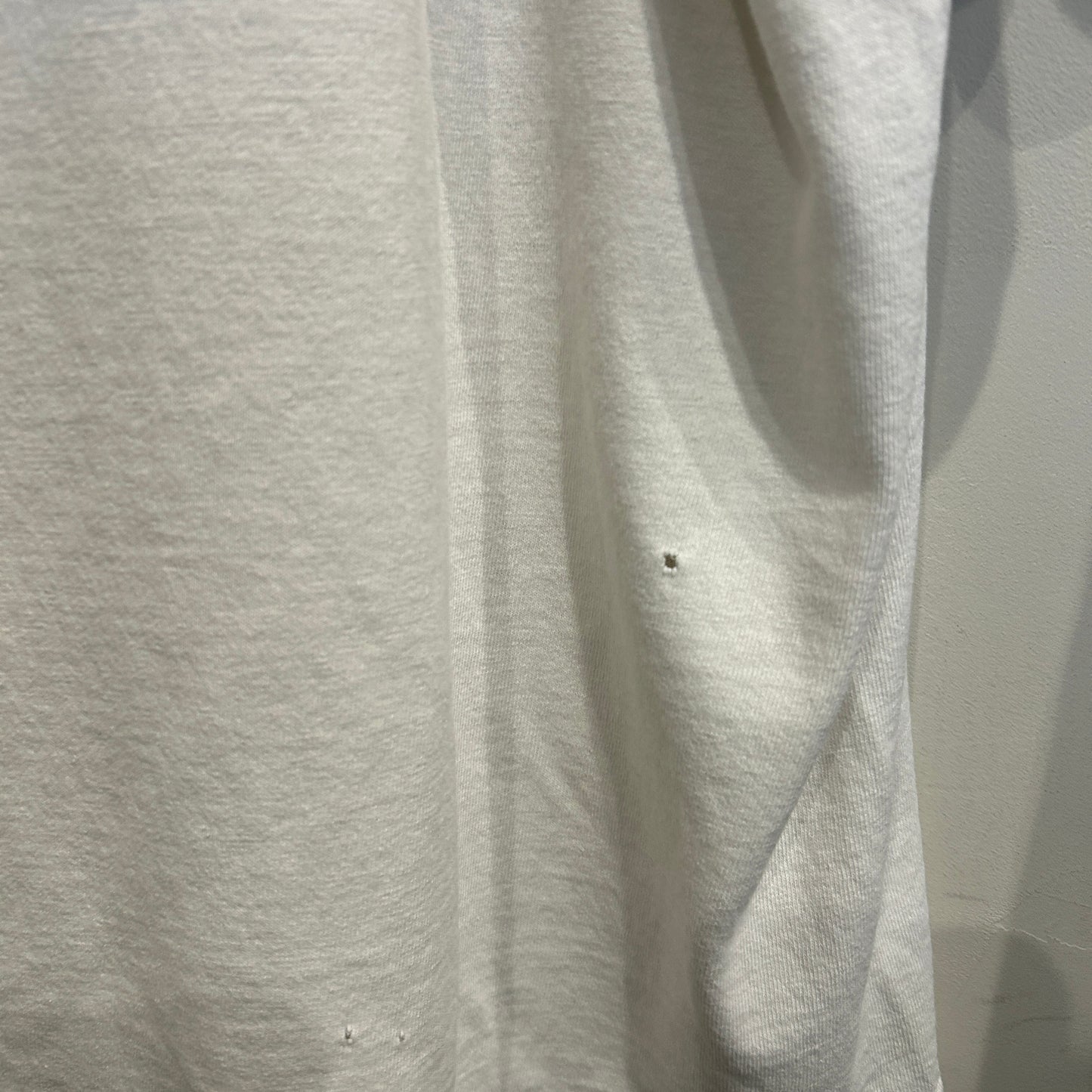 00's Stussy ステューシー World tribe Rags to Riches SSリンクTシャツ 白 (L)/B2085T-SO