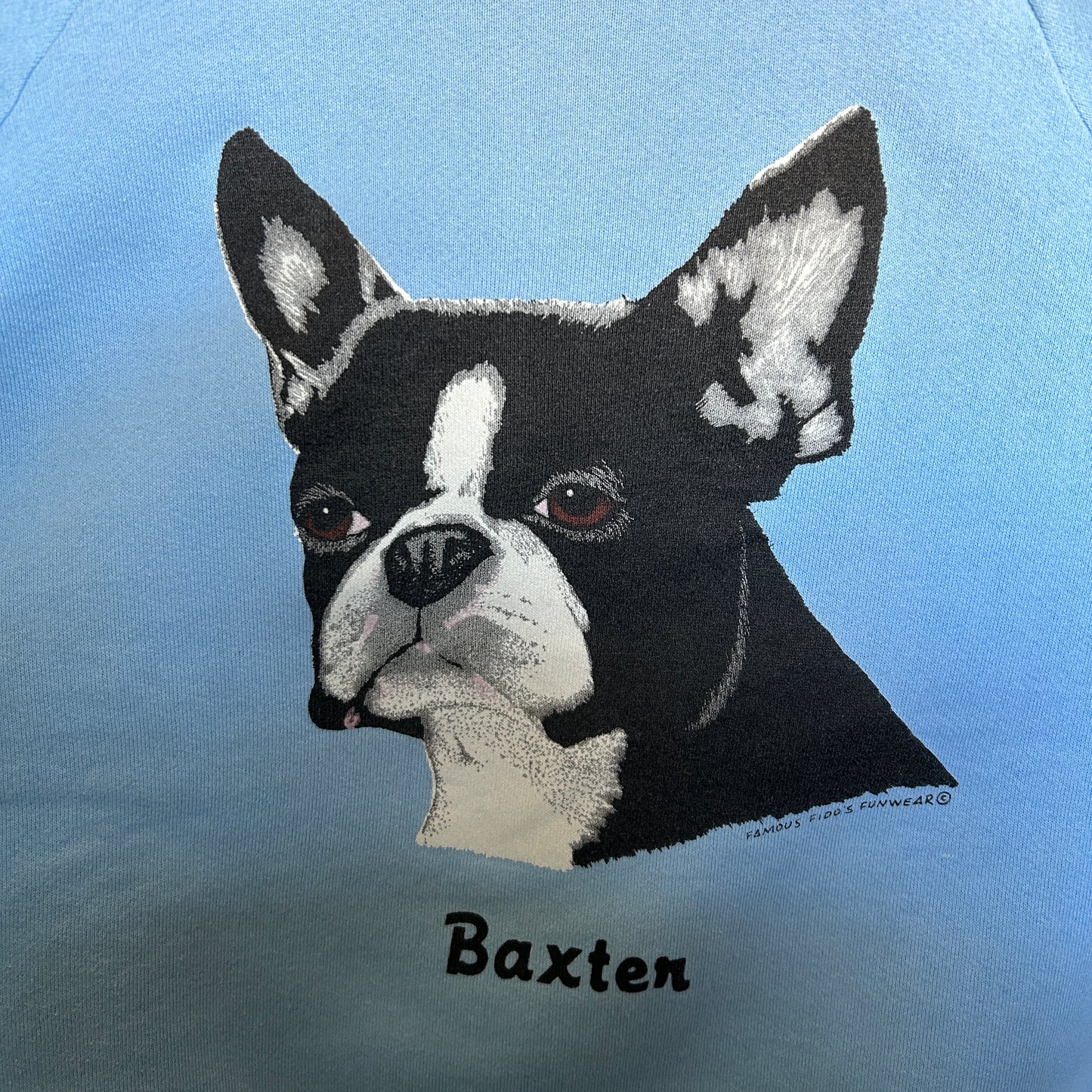 90's FRUIT OF THE LOOM Baxten アニマルラグランスウェット 水色 (L)/B2532S-SO