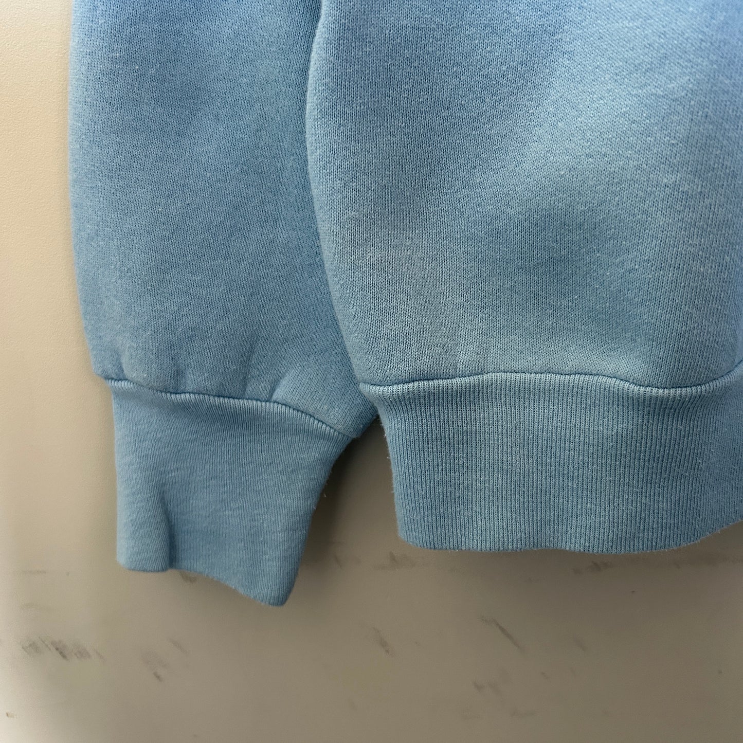 90's FRUIT OF THE LOOM Baxten アニマルラグランスウェット 水色 (L)/B2532S-SO
