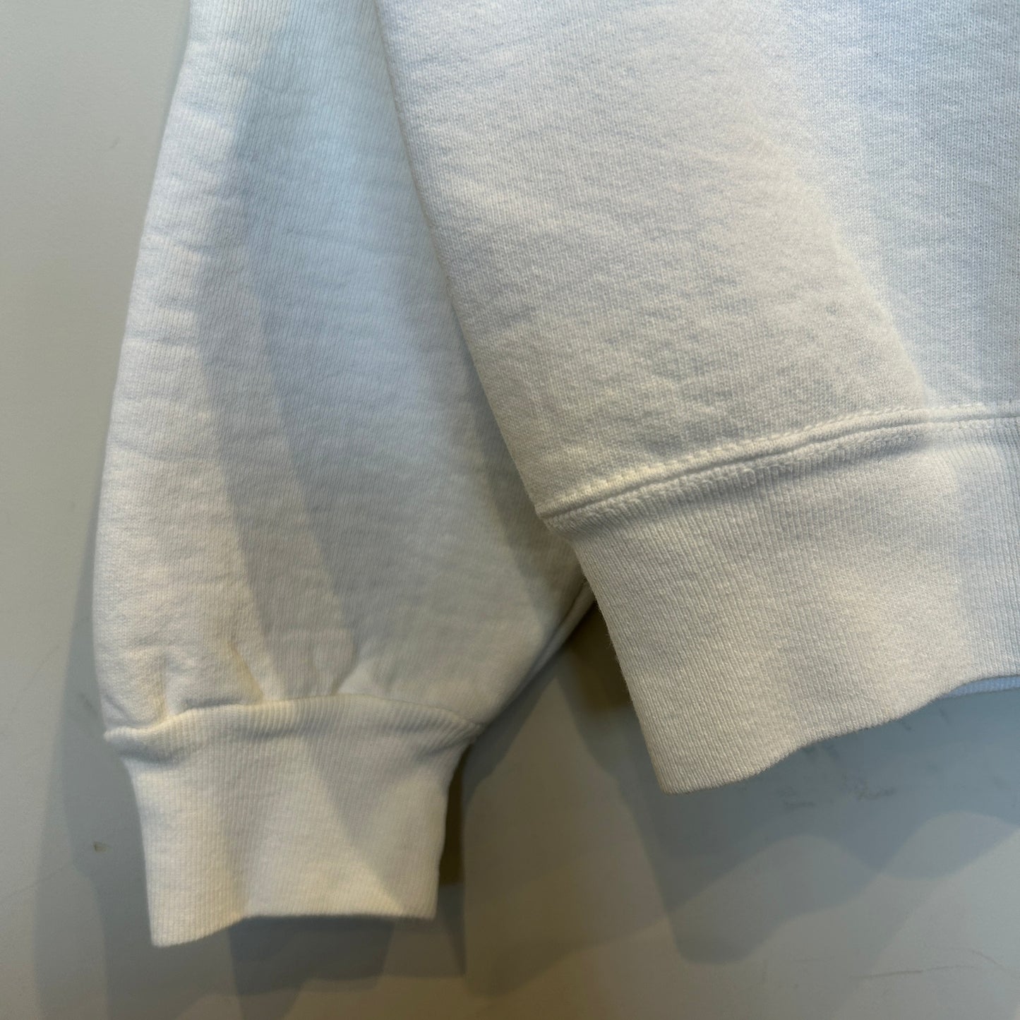 90's Fruit of the loom ダイナソーダッシュ November 7, A.D. 1992 記念スウェットシャツ 白 (XL)/B1472S-SO