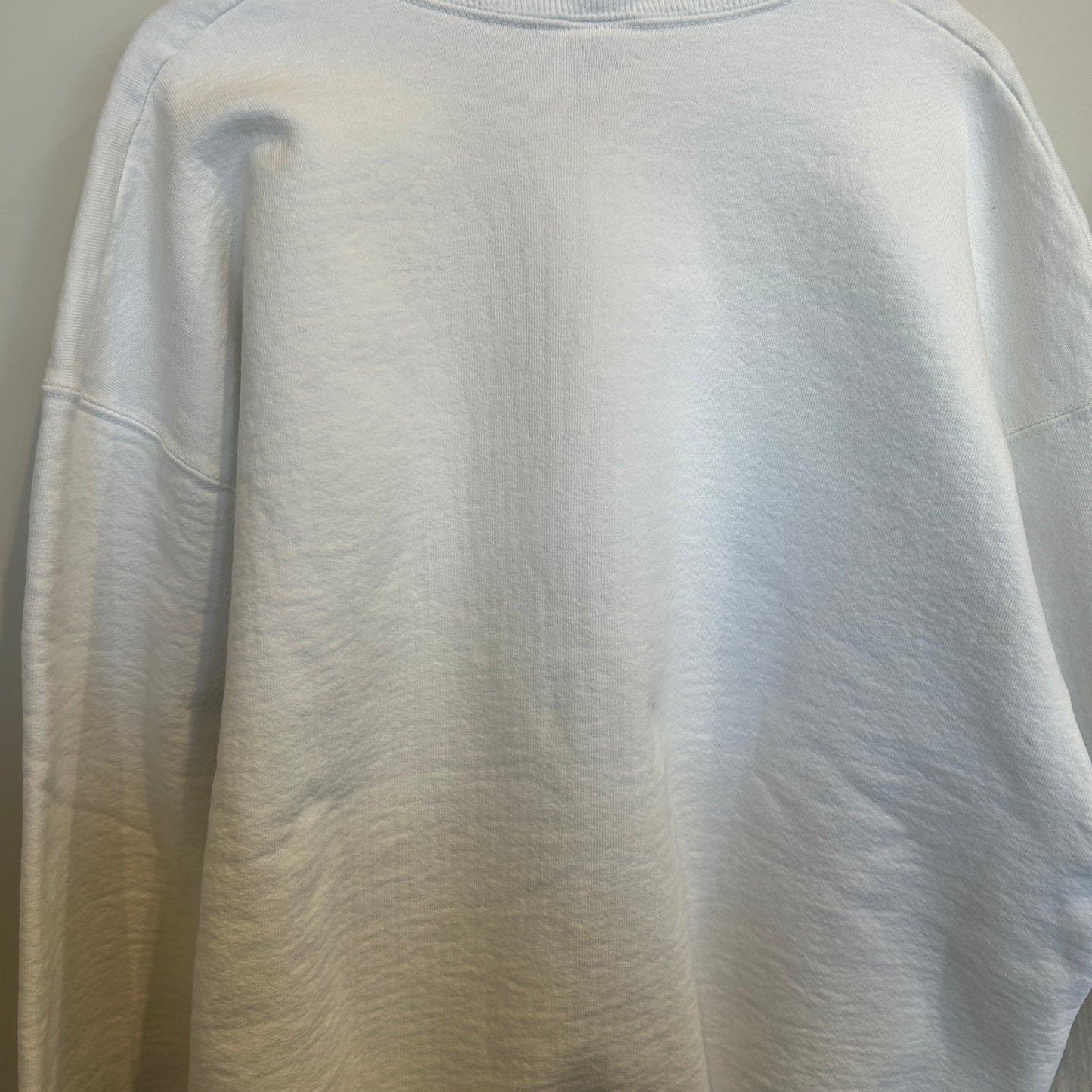 90's Fruit of the loom ダイナソーダッシュ November 7, A.D. 1992 記念スウェットシャツ 白 (XL)/B1472S-SO