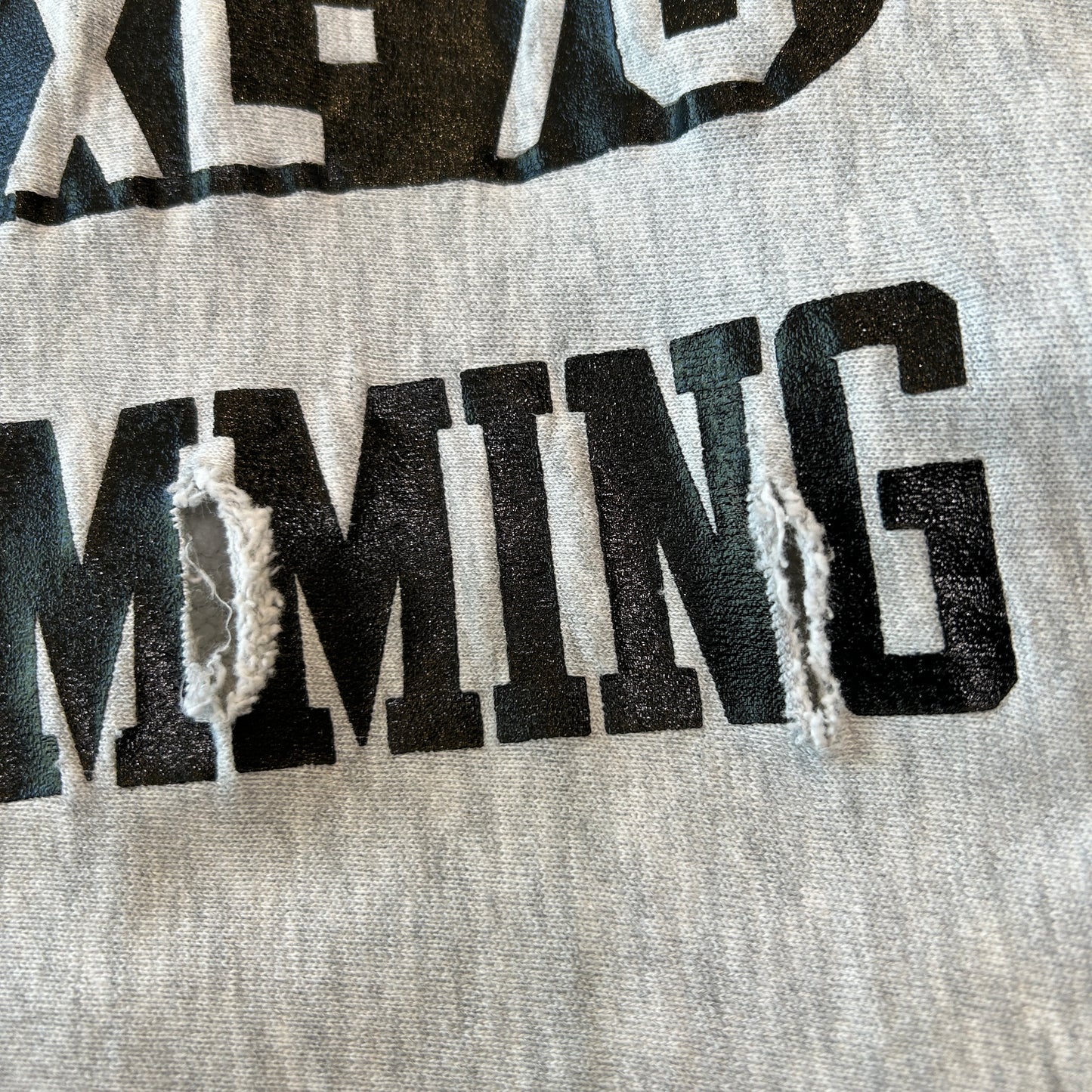 80's Champion Reverse Weave  リバースウィーブ MANKATO EAST SWIMMING カプセル３段プリント グレー(XL)/C0942R
