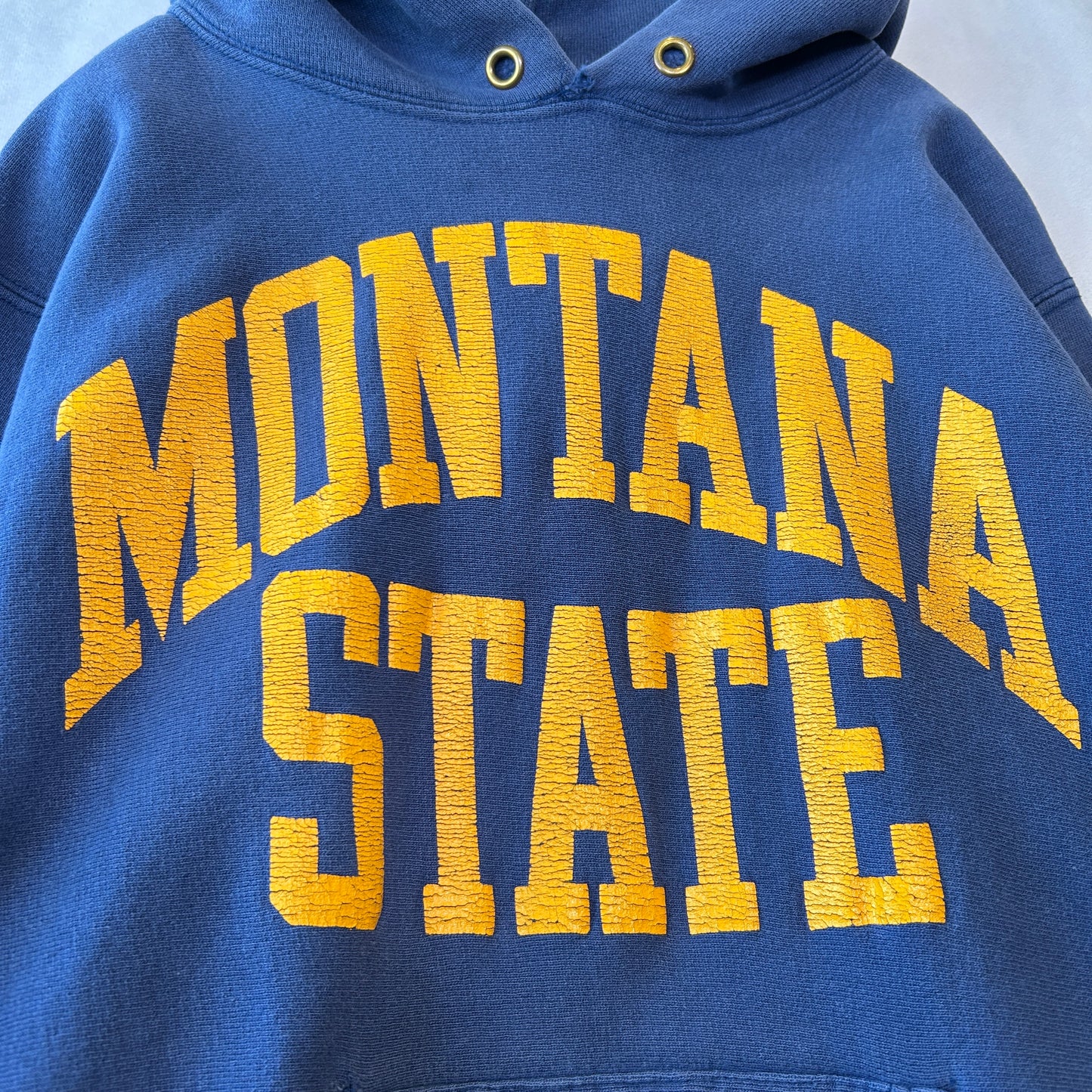90's Champion Reverse Weave スウェット フーディー MONTANA STATE USA製 (L)/C0944R-SO