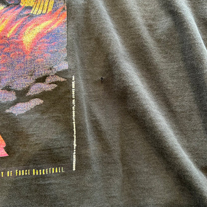 90's NIKE ゴジラvsバークレー ナイキCM Tシャツ NBA 黒(XL)/A6996T-SO