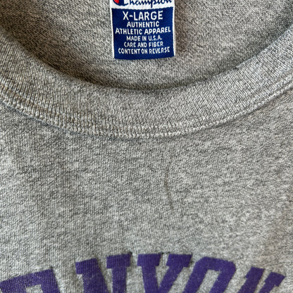 90's champion チャンピオン KENYON カレッジTシャツ グレー(XL)/C0956T-SO