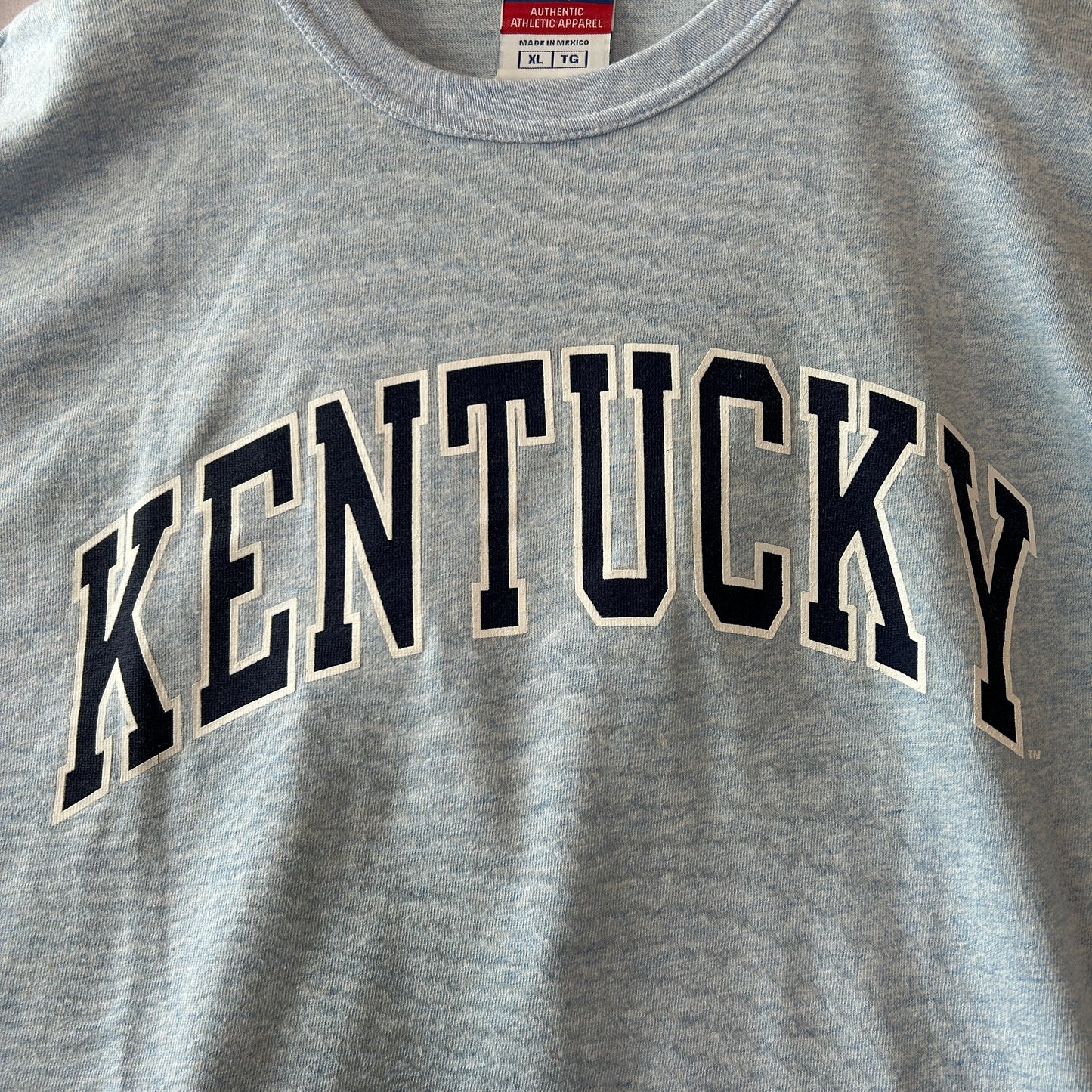 00's Champion チャンピオン KENTUCKY カレッジTシャツ 水色(XL)/C0959T-SO