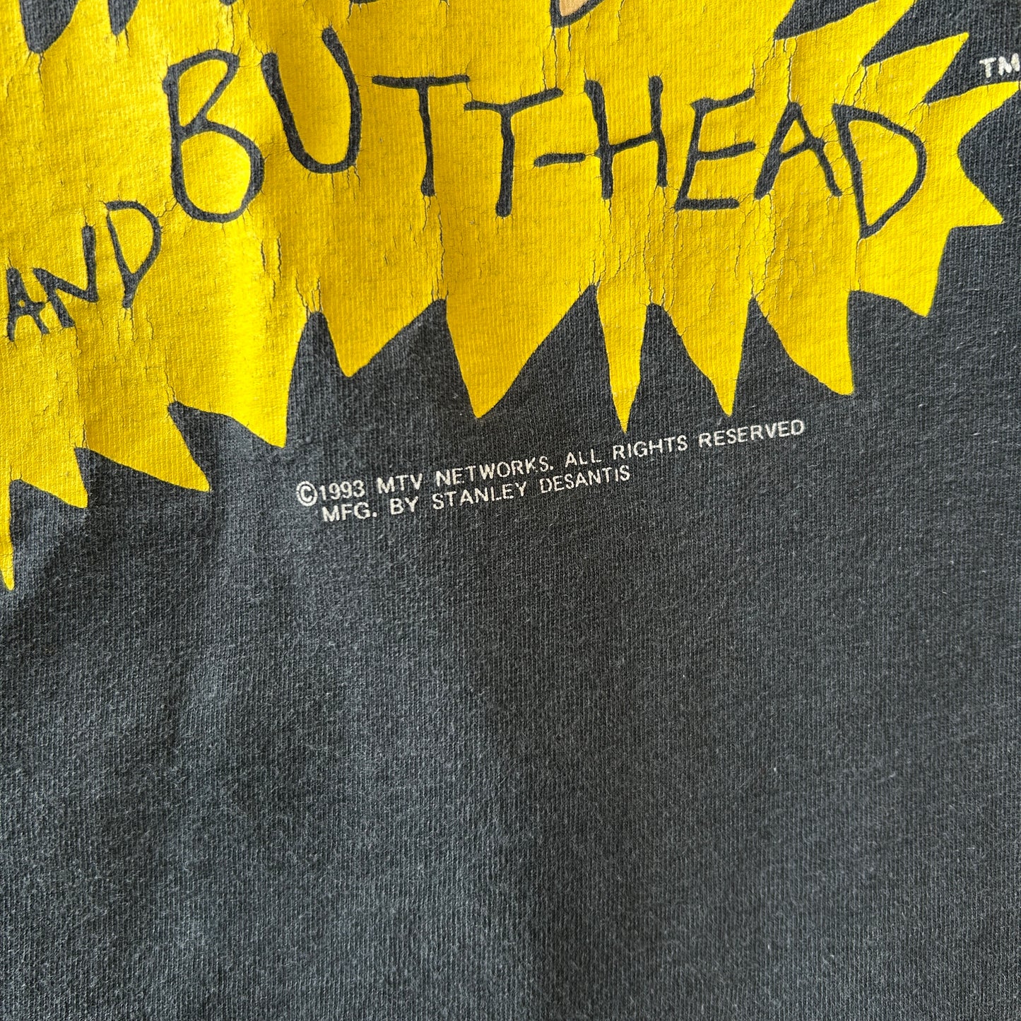90's Beavis&Butt-haed ビーバスアンドバットヘッド キャラクターTシャツ MTV 黒 Hanes (XL)/C0995T-SO