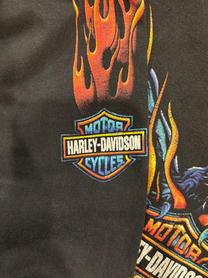 90's Harley-Davidson Las Vegas 袖プリント ロングTシャツ 黒 (L)/B3084T-SO