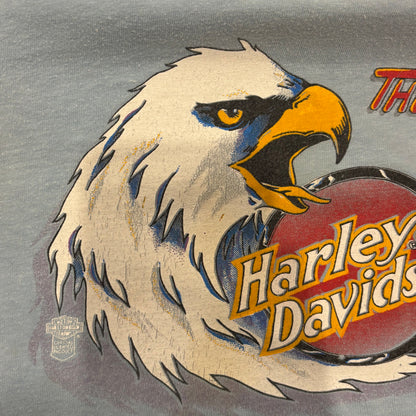 90's Hanes Harley-Davidson "The Screamin' Eagle" 袖プリント ロングTシャツ 水色 (L)/A6501T-SO