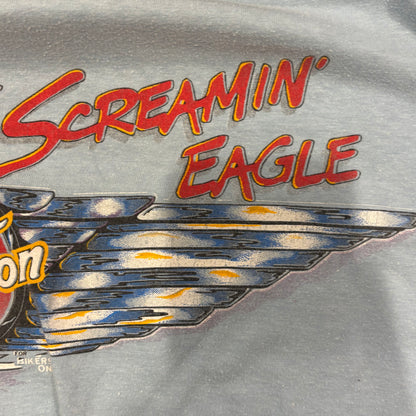 90's Hanes Harley-Davidson "The Screamin' Eagle" 袖プリント ロングTシャツ 水色 (L)/A6501T-SO