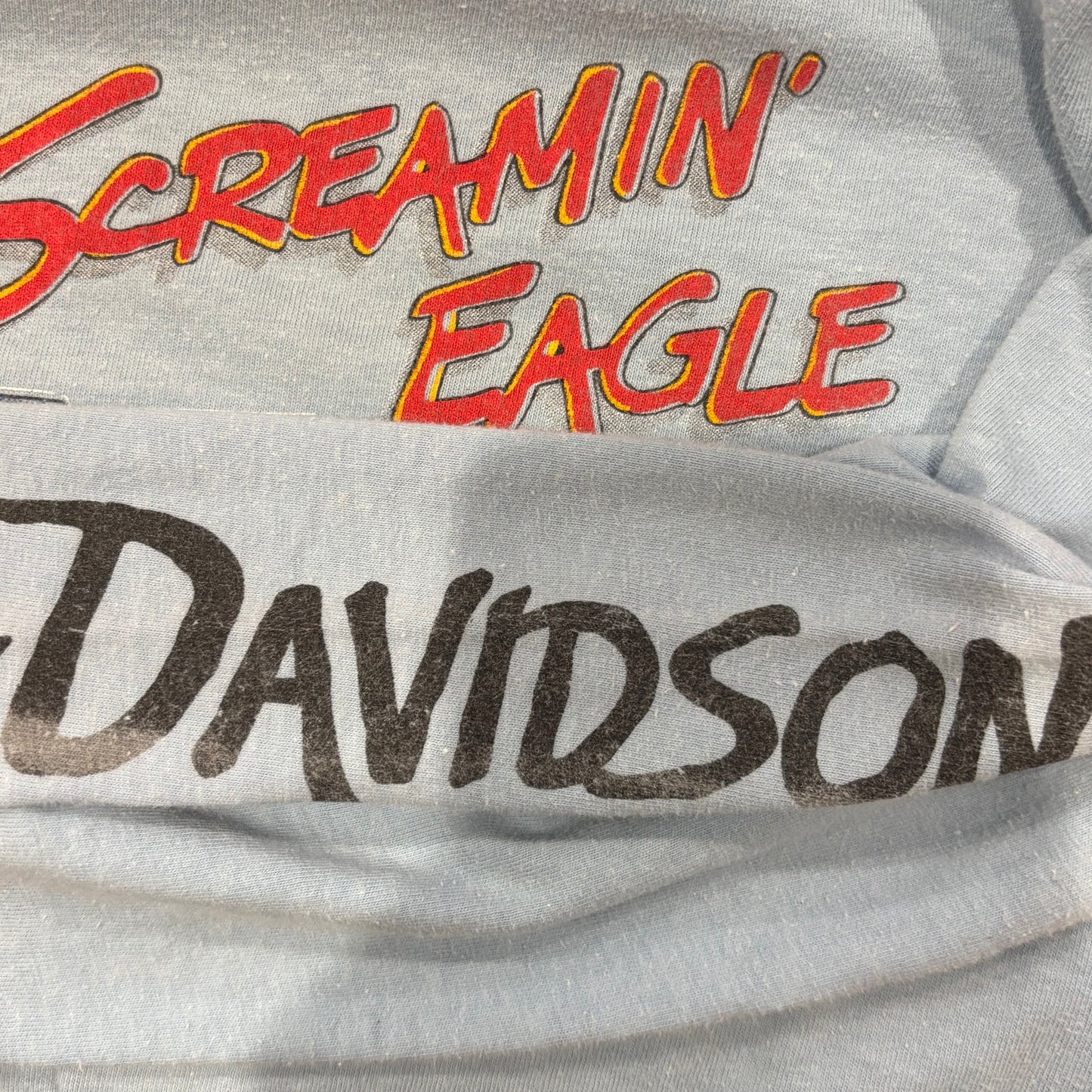 90's Hanes Harley-Davidson "The Screamin' Eagle" 袖プリント ロングTシャツ 水色 (L)/A6501T-SO