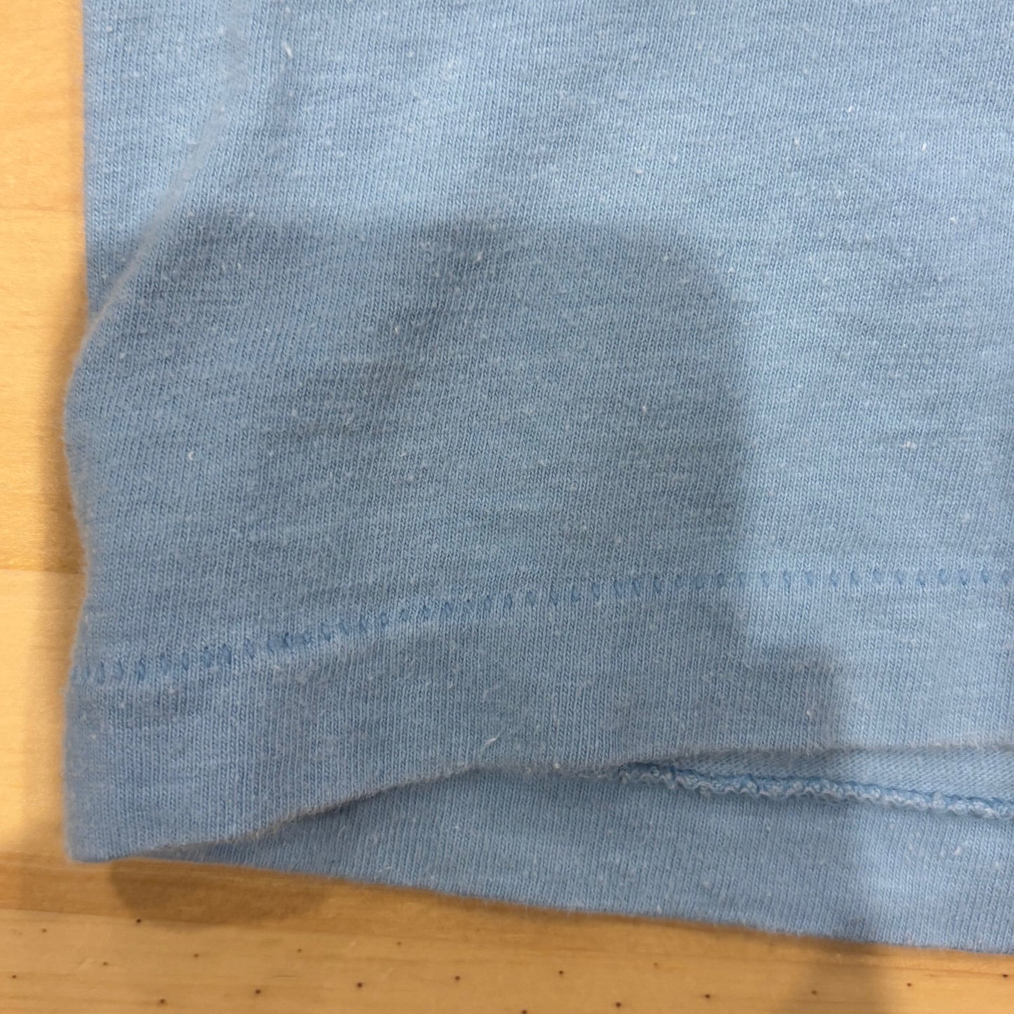 90's Hanes Harley-Davidson "The Screamin' Eagle" 袖プリント ロングTシャツ 水色 (L)/A6501T-SO
