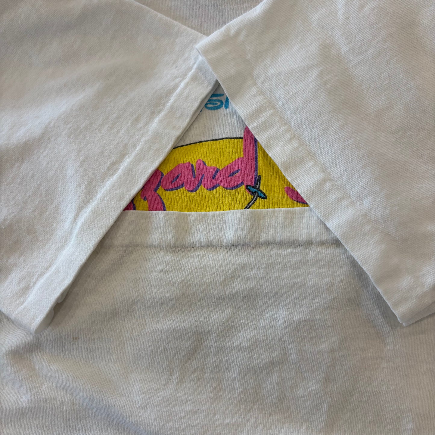 90's MICKEY.INC ディズニー Blizzard Beach ブリザード・ビーチ キャラクターTシャツ 白(不明)/B3541T-SO