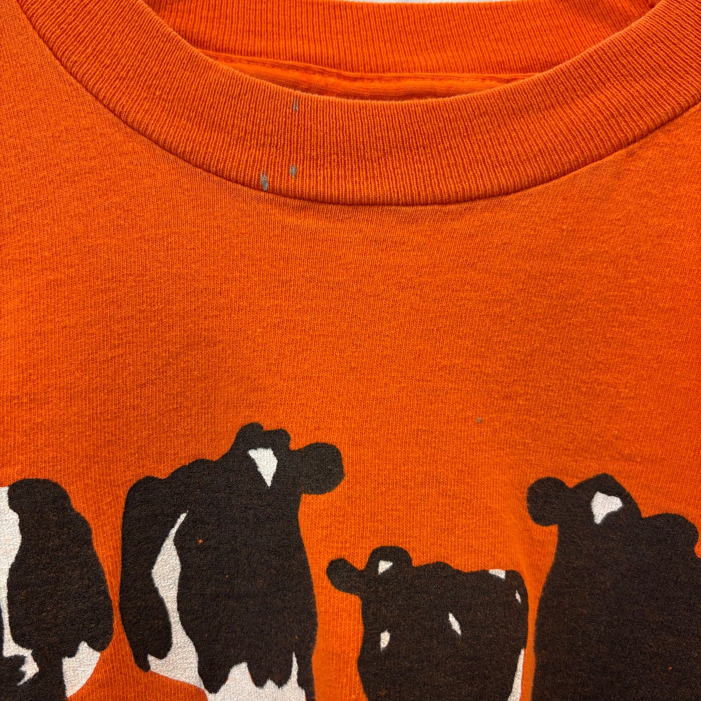 90's Ben＆Jerry’s ベンアンドジェリーズ Woody Jackson 企業Tシャツ オレンジ (XXL)/B3555T-SO