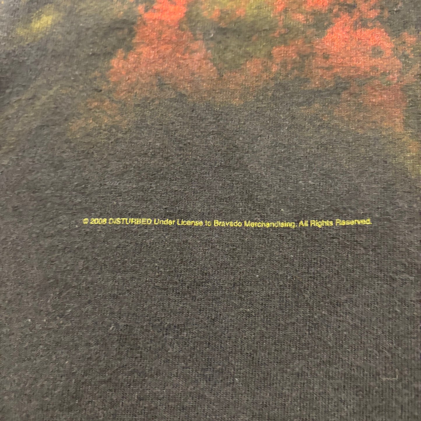 00's Hanes ヘインズ Disturbed ディスターブド Guarded TheGuy 両面プリントTシャツ 黒 (L) /B1885T-SO