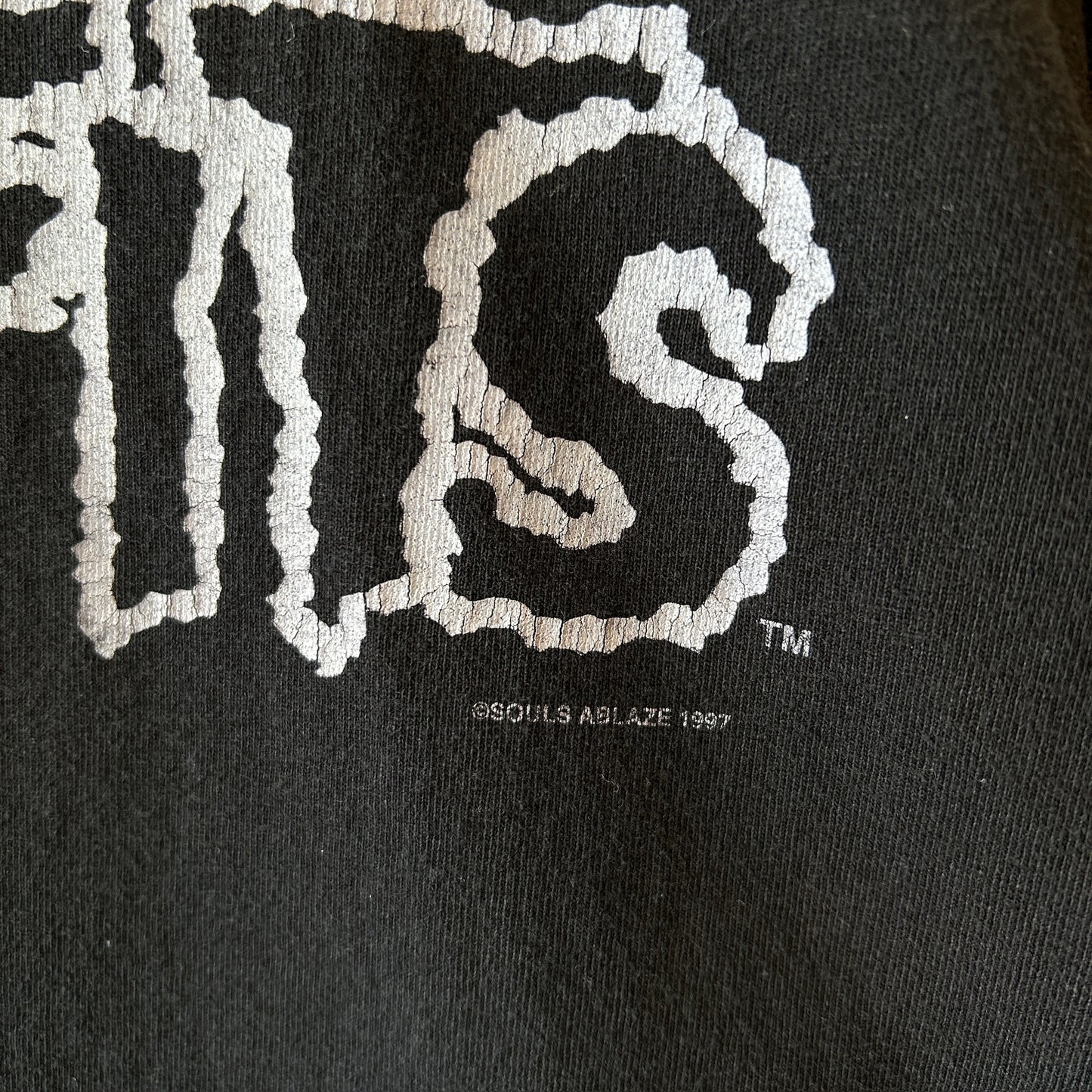 90's Misfits ミスフィッツ クリムゾンゴースト スカルTシャツ ロンT 黒(L)/C1039T-SO