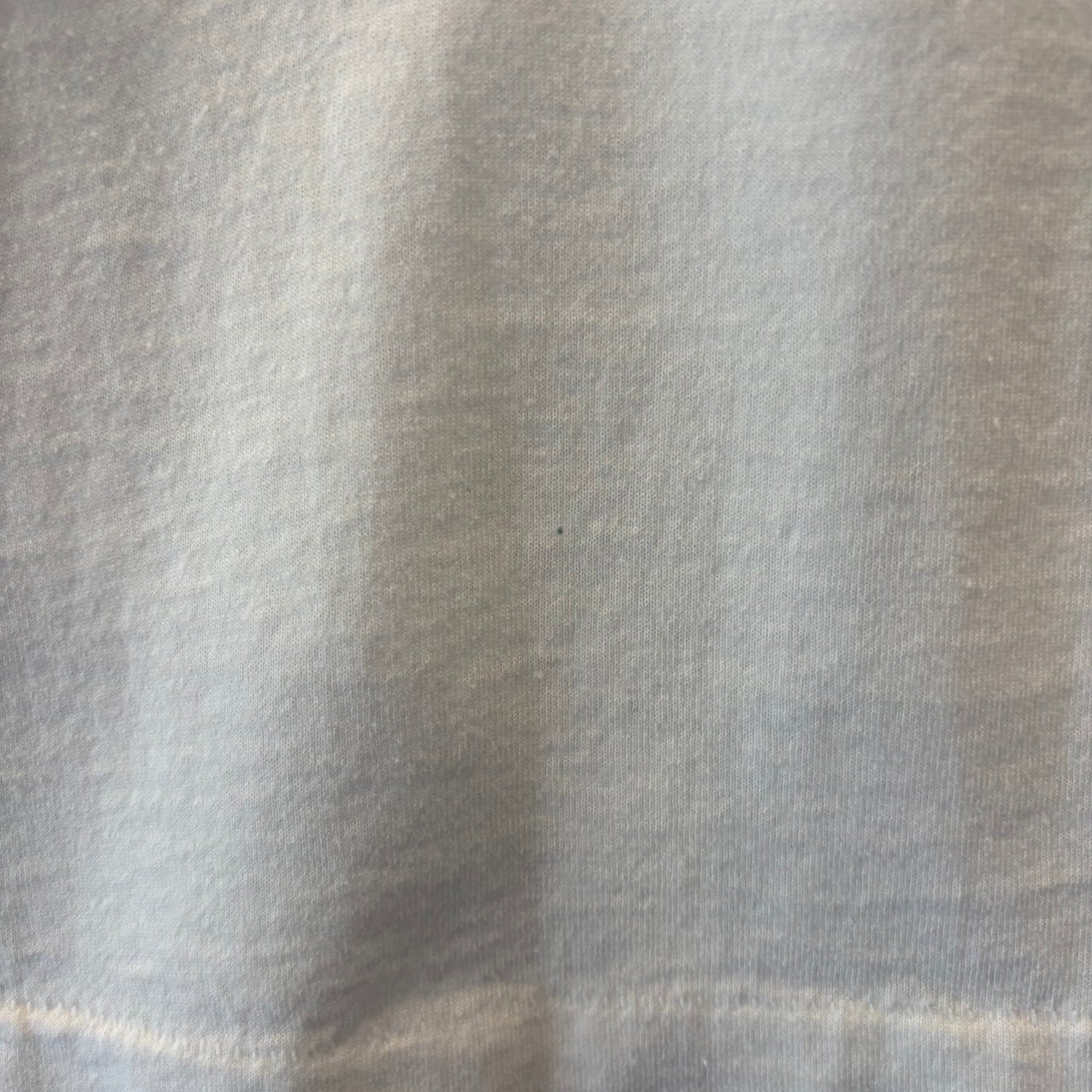 90's Fruit of the room ペプシコーラ ダイエットペプシ Tシャツ 企業T 白 (L)/B3649T-SO