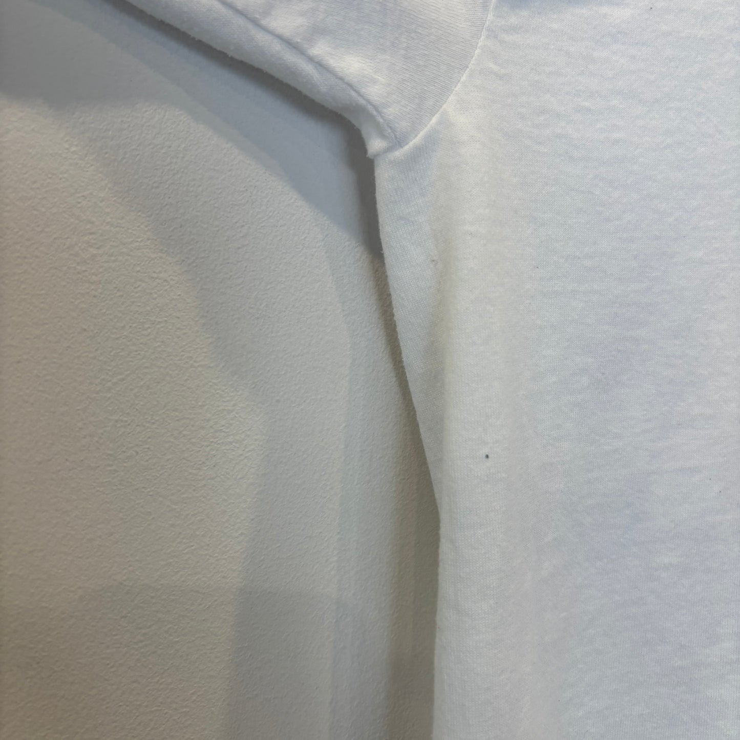 90's Fruit of the room ペプシコーラ ダイエットペプシ Tシャツ 企業T 白 (L)/B3649T-SO