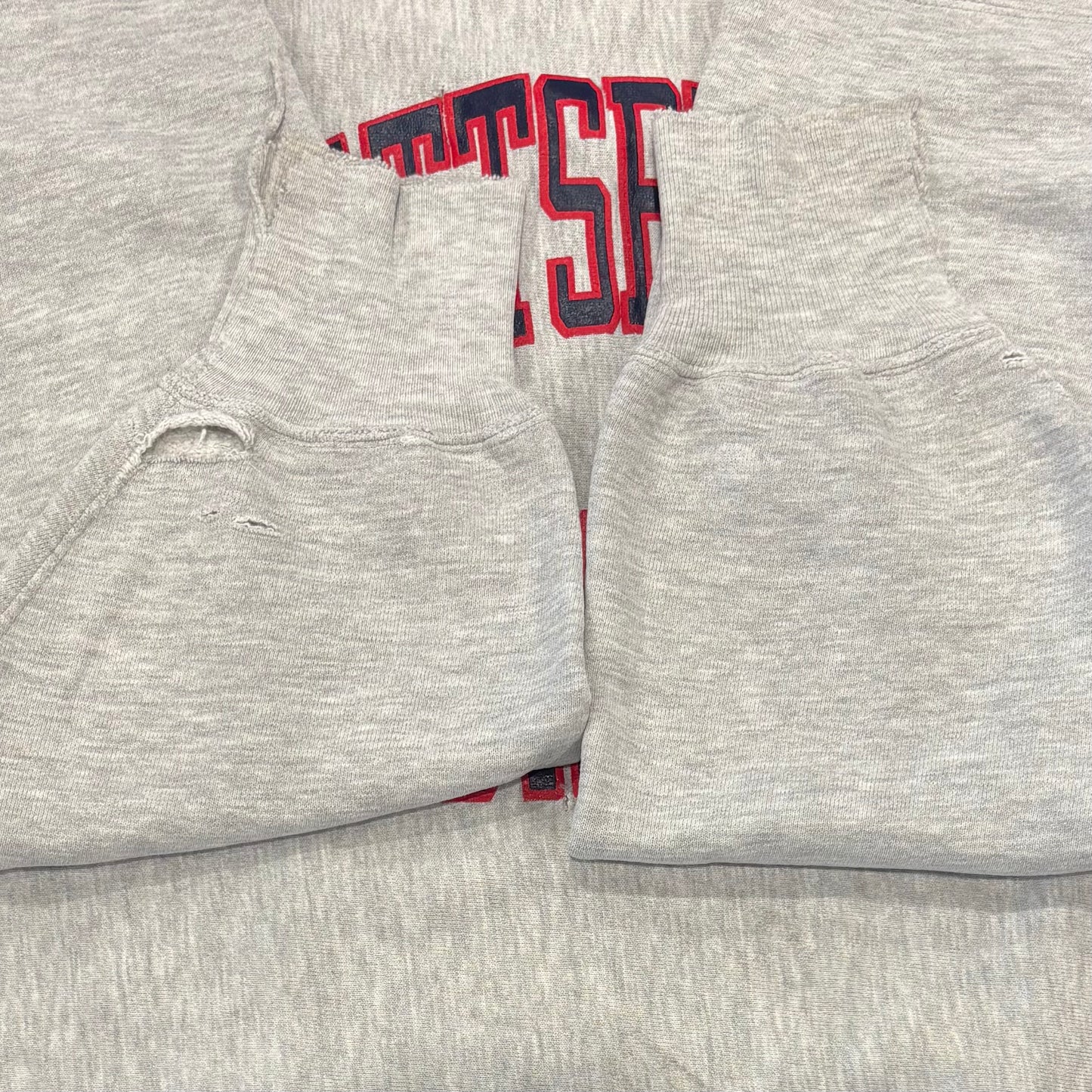 90's  Campion  Reverse Weave リバースウィーブ PLATTSBURGH STATF グレー XXL /A8178S-SO