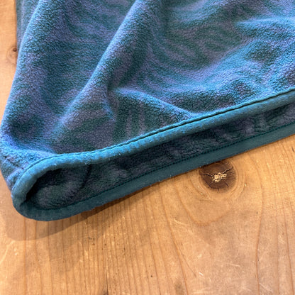 1994 Patagonia パタゴニア "Tropical Sea Green" 雪無し スナップT フリースプルオーバー(L)/C0173F-SO