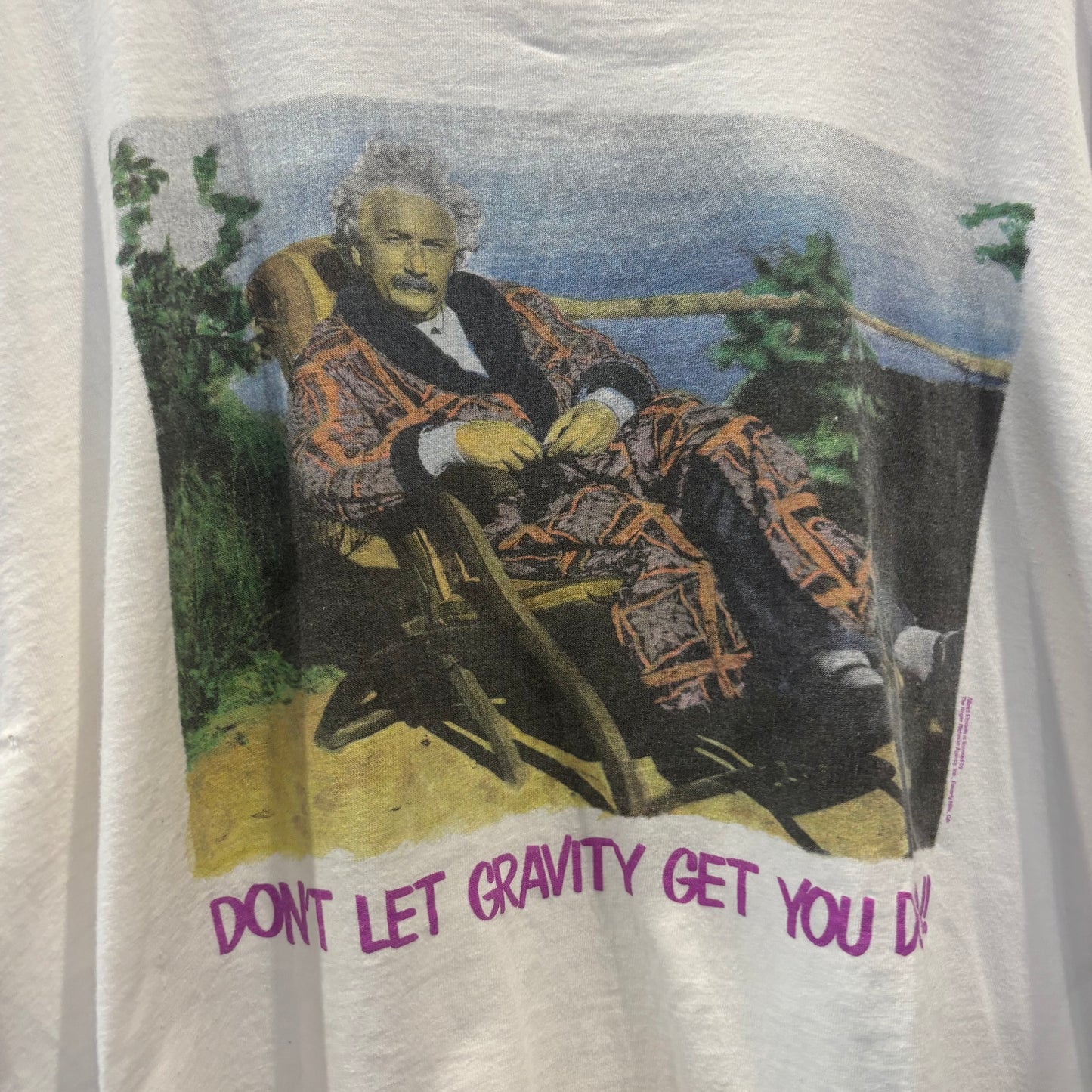 90's アインシュタイン "Don't let Gravity Get You Down!" アートTシャツ 白 (XL)/B3602T-SO